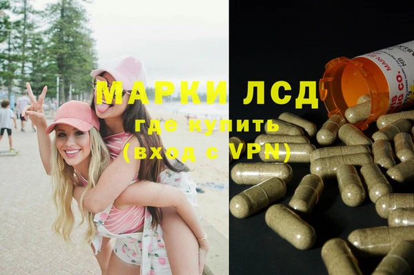 PSILOCYBIN Алексеевка