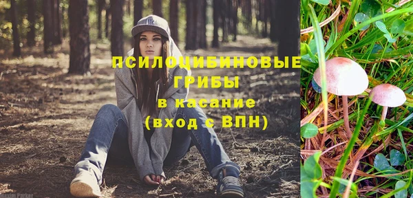PSILOCYBIN Алексеевка